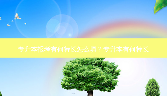 专升本报考有何特长怎么填?专升本有何特长-第1张图片-天智网 专升本报考有何特长怎么填?专升本有何特长-第1张图片-天智网