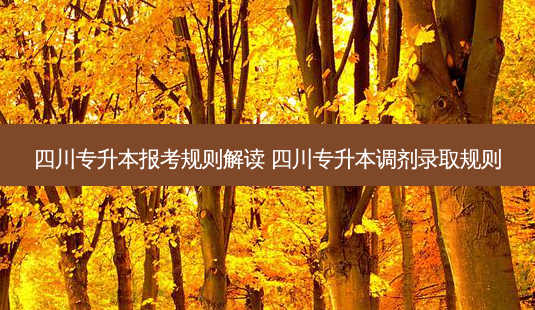 四川专升本报考规则解读 四川专升本调剂录取规则-第1张图片-天智网 四川专升本报考规则解读 四川专升本调剂录取规则-第1张图片-天智网