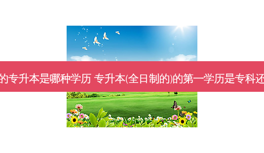 全日制的专升本是哪种学历 专升本(全日制的)的之一学历是专科还是本科-第1张图片-天智网 全日制的专升本是哪种学历 专升本(全日制的)的之一学历是专科还是本科-第1张图片-天智网
