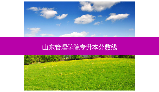 山东管理学院专升本分数线-第1张图片-天智网 山东管理学院专升本分数线-第1张图片-天智网