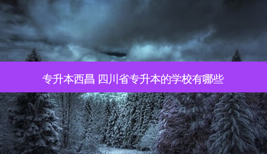 专升本西昌 四川省专升本的学校有哪些-第1张图片-天智网 专升本西昌 四川省专升本的学校有哪些-第1张图片-天智网