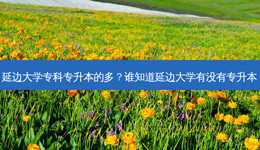 延边大学专科专升本的多?谁知道延边大学有没有专升本-第1张图片-天智网 延边大学专科专升本的多?谁知道延边大学有没有专升本-第1张图片-天智网
