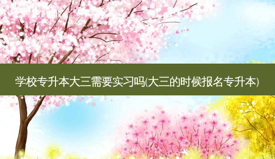 学校专升本大三需要实习吗(大三的时候报名专升本)-第1张图片-天智网 学校专升本大三需要实习吗(大三的时候报名专升本)-第1张图片-天智网