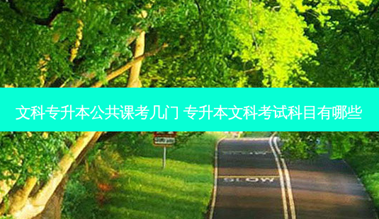 文科专升本公共课考几门 专升本文科考试科目有哪些-第1张图片-天智网 文科专升本公共课考几门 专升本文科考试科目有哪些-第1张图片-天智网