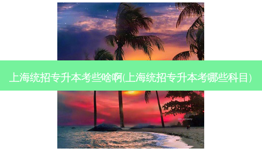 上海统招专升本考些啥啊(上海统招专升本考哪些科目)-第1张图片-天智网 上海统招专升本考些啥啊(上海统招专升本考哪些科目)-第1张图片-天智网