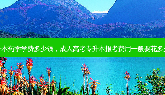 专升本药学学费多少钱,成人高考专升本报考费用一般要花多少钱-第1张图片-天智网 专升本药学学费多少钱,成人高考专升本报考费用一般要花多少钱-第1张图片-天智网