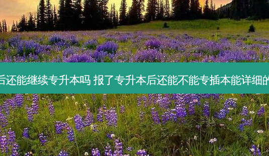 专升本后还能继续专升本吗 报了专升本后还能不能专插本能详细的告诉我-第1张图片-天智网 专升本后还能继续专升本吗 报了专升本后还能不能专插本能详细的告诉我-第1张图片-天智网