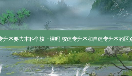 专升本要去本科学校上课吗 校建专升本和自建专升本的区别-第1张图片-天智网 专升本要去本科学校上课吗 校建专升本和自建专升本的区别-第1张图片-天智网