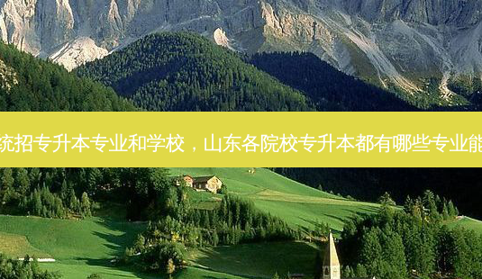 山东统招专升本专业和学校，山东各院校专升本都有哪些专业能报考-第1张图片-汇成专升本网