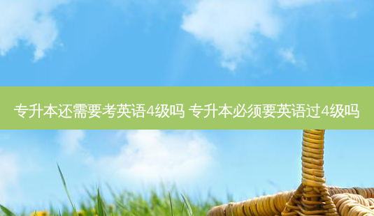 专升本还需要考英语4级吗 专升本必须要英语过4级吗-第1张图片-天智网 专升本还需要考英语4级吗 专升本必须要英语过4级吗-第1张图片-天智网