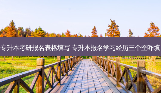 专升本考研报名表格填写 专升本报名学习经历三个空咋填-第1张图片-天智网 专升本考研报名表格填写 专升本报名学习经历三个空咋填-第1张图片-天智网