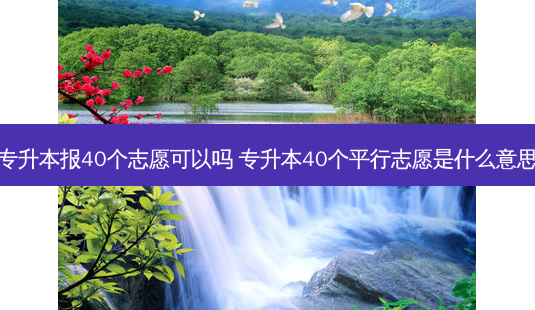 专升本报40个志愿可以吗 专升本40个平行志愿是什么意思-第1张图片-天智网 专升本报40个志愿可以吗 专升本40个平行志愿是什么意思-第1张图片-天智网
