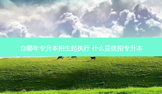 自哪年专升本招生起执行 什么是统招专升本-第1张图片-天智网 自哪年专升本招生起执行 什么是统招专升本-第1张图片-天智网