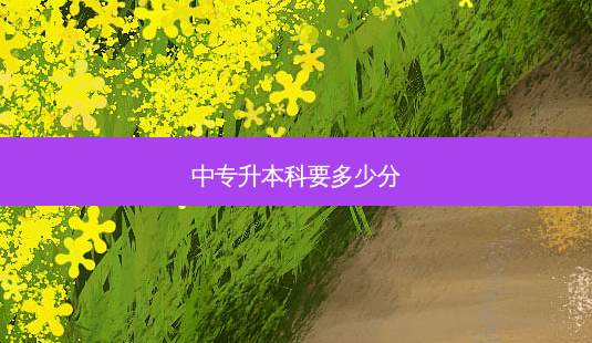 中专升本科要多少分-第1张图片-天智网 中专升本科要多少分-第1张图片-天智网