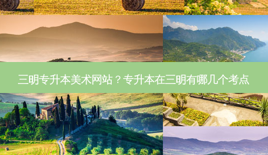 三明专升本美术网站?专升本在三明有哪几个考点-第1张图片-天智网 三明专升本美术网站?专升本在三明有哪几个考点-第1张图片-天智网