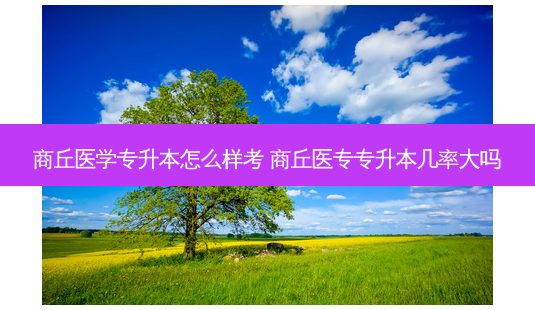 商丘医学专升本怎么样考 商丘医专专升本几率大吗-第1张图片-天智网 商丘医学专升本怎么样考 商丘医专专升本几率大吗-第1张图片-天智网