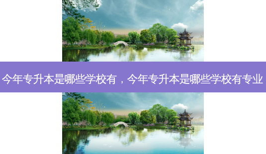 今年专升本是哪些学校有,今年专升本是哪些学校有专业-第1张图片-天智网 今年专升本是哪些学校有,今年专升本是哪些学校有专业-第1张图片-天智网