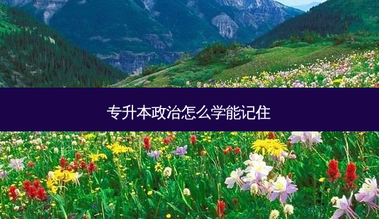 专升本政治怎么学能记住-第1张图片-天智网 专升本政治怎么学能记住-第1张图片-天智网