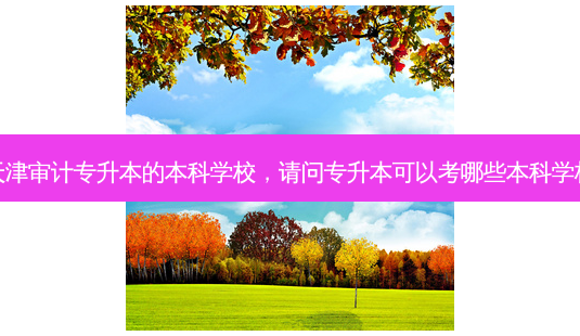 天津审计专升本的本科学校,请问专升本可以考哪些本科学校-第1张图片-天智网 天津审计专升本的本科学校,请问专升本可以考哪些本科学校-第1张图片-天智网