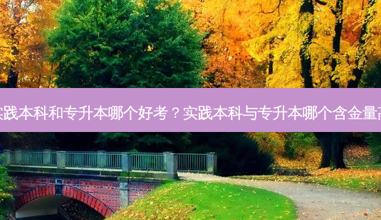 实践本科和专升本哪个好考?实践本科与专升本哪个含金量高-第1张图片-天智网 实践本科和专升本哪个好考?实践本科与专升本哪个含金量高-第1张图片-天智网