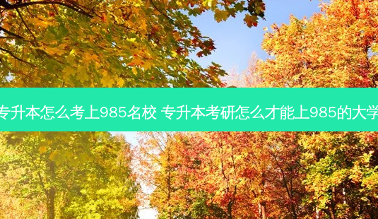 专升本怎么考上985名校 专升本考研怎么才能上985的大学-第1张图片-天智网 专升本怎么考上985名校 专升本考研怎么才能上985的大学-第1张图片-天智网