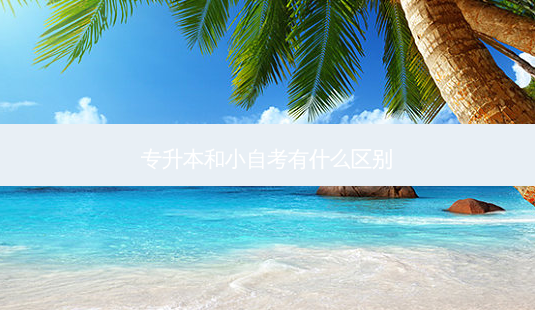 专升本和小自考有什么区别-第1张图片-天智网 专升本和小自考有什么区别-第1张图片-天智网