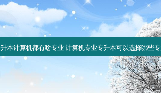 专升本计算机都有啥专业 计算机专业专升本可以选择哪些专业-第1张图片-天智网 专升本计算机都有啥专业 计算机专业专升本可以选择哪些专业-第1张图片-天智网