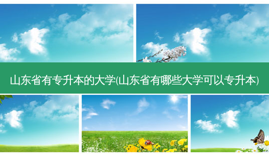 山东省有专升本的大学(山东省有哪些大学可以专升本)-第1张图片-天智网 山东省有专升本的大学(山东省有哪些大学可以专升本)-第1张图片-天智网
