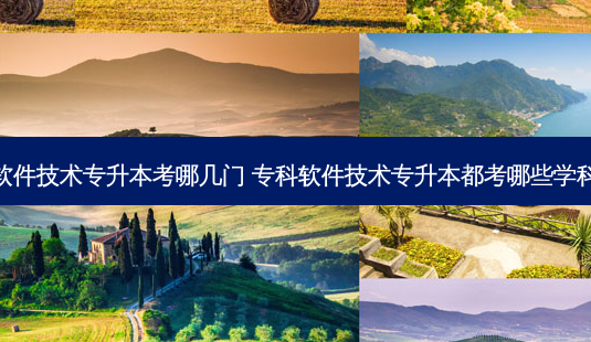 软件技术专升本考哪几门 专科软件技术专升本都考哪些学科-第1张图片-天智网 软件技术专升本考哪几门 专科软件技术专升本都考哪些学科-第1张图片-天智网