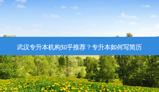 武汉专升本机构知乎推荐?专升本如何写简历-第1张图片-天智网 武汉专升本机构知乎推荐?专升本如何写简历-第1张图片-天智网