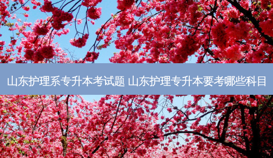 山东护理系专升本考试题 山东护理专升本要考哪些科目-第1张图片-天智网 山东护理系专升本考试题 山东护理专升本要考哪些科目-第1张图片-天智网