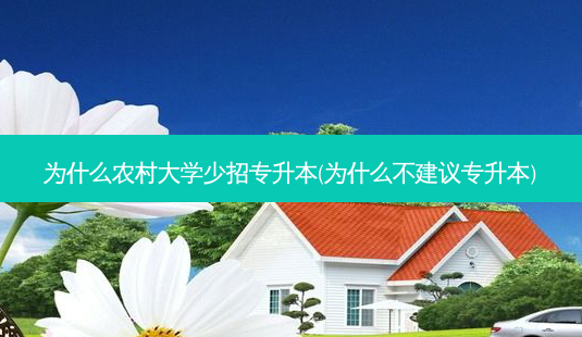 为什么农村大学少招专升本(为什么不建议专升本)-第1张图片-天智网 为什么农村大学少招专升本(为什么不建议专升本)-第1张图片-天智网