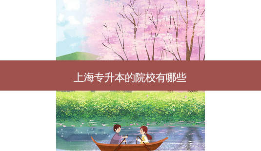 上海专升本的院校有哪些-第1张图片-天智网 上海专升本的院校有哪些-第1张图片-天智网