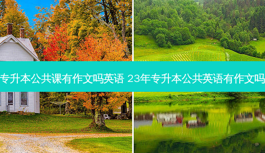 专升本公共课有作文吗英语 23年专升本公共英语有作文吗-第1张图片-天智网 专升本公共课有作文吗英语 23年专升本公共英语有作文吗-第1张图片-天智网