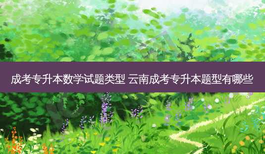 成考专升本数学试题类型 云南成考专升本题型有哪些-第1张图片-天智网 成考专升本数学试题类型 云南成考专升本题型有哪些-第1张图片-天智网