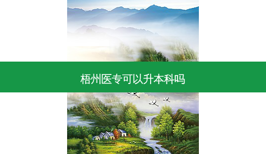 梧州医专可以升本科吗-第1张图片-天智网 梧州医专可以升本科吗-第1张图片-天智网