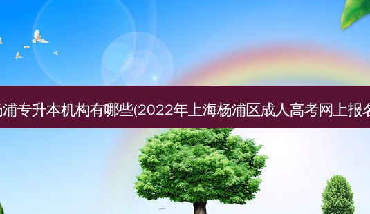 上海杨浦专升本机构有哪些(2022年上海杨浦区成人高考网上报名流程)-第1张图片-天智网 上海杨浦专升本机构有哪些(2022年上海杨浦区成人高考网上报名流程)-第1张图片-天智网