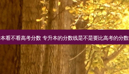 专升本看不看高考分数 专升本的分数线是不是要比高考的分数线高-第1张图片-天智网 专升本看不看高考分数 专升本的分数线是不是要比高考的分数线高-第1张图片-天智网