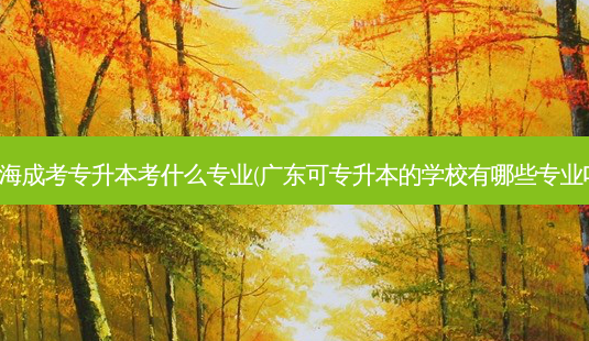 珠海成考专升本考什么专业(广东可专升本的学校有哪些专业吗)-第1张图片-天智网 珠海成考专升本考什么专业(广东可专升本的学校有哪些专业吗)-第1张图片-天智网
