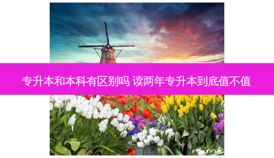 专升本和本科有区别吗 读两年专升本到底值不值-第1张图片-天智网 专升本和本科有区别吗 读两年专升本到底值不值-第1张图片-天智网