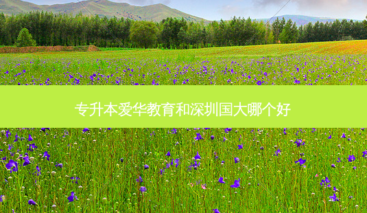 专升本爱华教育和深圳国大哪个好-第1张图片-天智网 专升本爱华教育和深圳国大哪个好-第1张图片-天智网