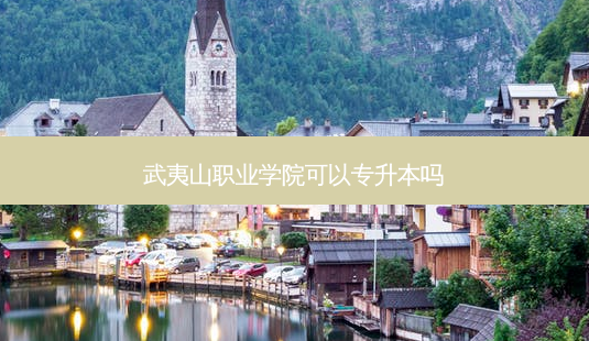武夷山职业学院可以专升本吗-第1张图片-天智网 武夷山职业学院可以专升本吗-第1张图片-天智网