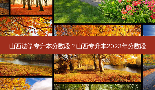 山西法学专升本分数段?山西专升本2023年分数段-第1张图片-天智网 山西法学专升本分数段?山西专升本2023年分数段-第1张图片-天智网