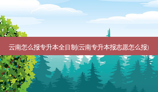 云南怎么报专升本全日制(云南专升本报志愿怎么报)-第1张图片-天智网 云南怎么报专升本全日制(云南专升本报志愿怎么报)-第1张图片-天智网