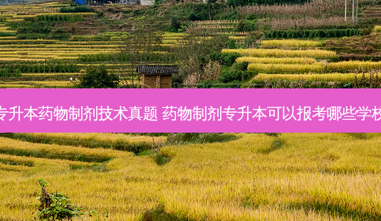 专升本药物制剂技术真题 药物制剂专升本可以报考哪些学校-第1张图片-天智网 专升本药物制剂技术真题 药物制剂专升本可以报考哪些学校-第1张图片-天智网