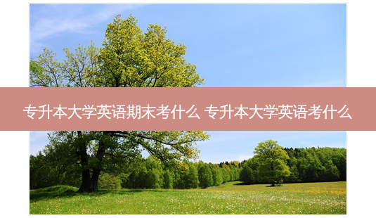 专升本大学英语期末考什么 专升本大学英语考什么-第1张图片-天智网 专升本大学英语期末考什么 专升本大学英语考什么-第1张图片-天智网