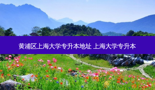 黄浦区上海大学专升本地址 上海大学专升本-第1张图片-天智网 黄浦区上海大学专升本地址 上海大学专升本-第1张图片-天智网