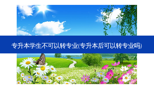 专升本学生不可以转专业(专升本后可以转专业吗)-第1张图片-天智网 专升本学生不可以转专业(专升本后可以转专业吗)-第1张图片-天智网