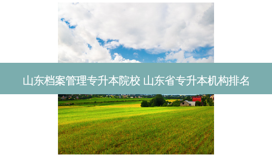 山东档案管理专升本院校 山东省专升本机构排名-第1张图片-天智网 山东档案管理专升本院校 山东省专升本机构排名-第1张图片-天智网