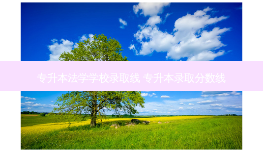 专升本法学学校录取线 专升本录取分数线-第1张图片-天智网 专升本法学学校录取线 专升本录取分数线-第1张图片-天智网
